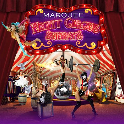 The Circus Night LeoVegas